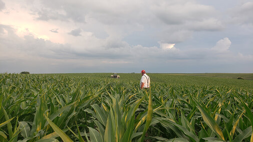 Kudera in field