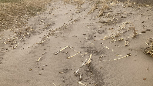 drifted soil in field