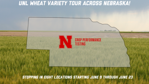 Wheat variety tours banner