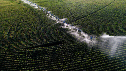 Aerial view of field