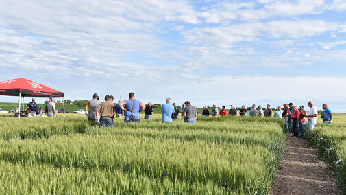 Wheat field day attendees