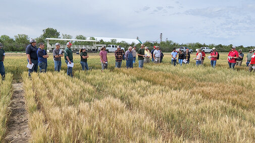 Wheat field day attendees