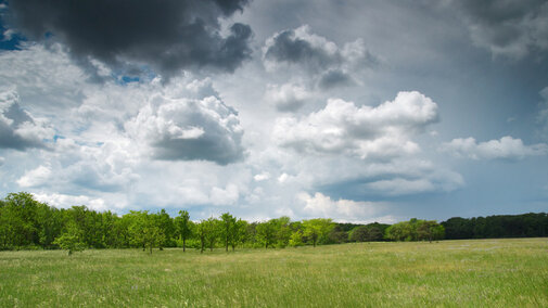 Thunderstorm over pasture