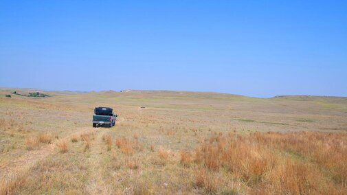 Truck in pasture