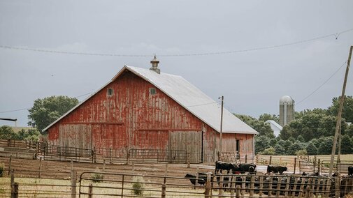 Barn on feedlot