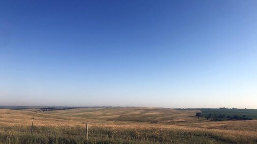 Pasture landscape