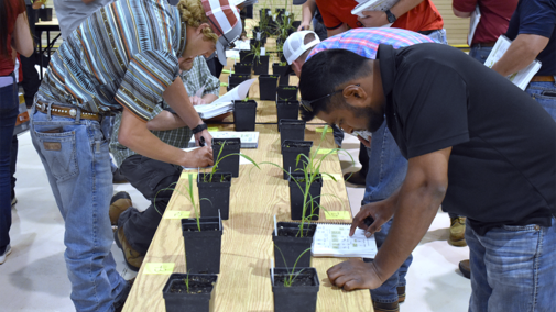 Crop Scout Training participants