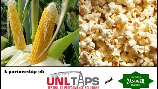 TAPS popcorn 