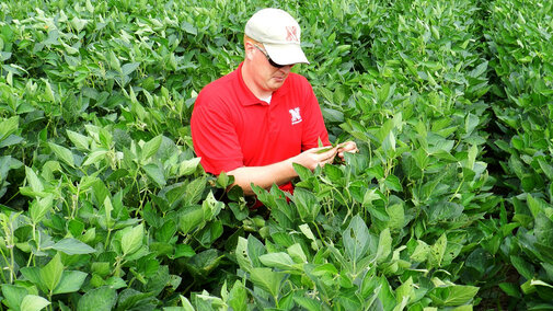 Wayne Ohnesorg scouting a field