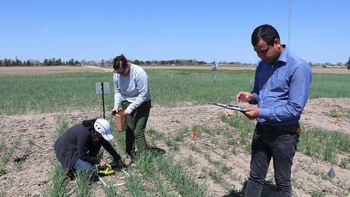 Research team gather samples in field
