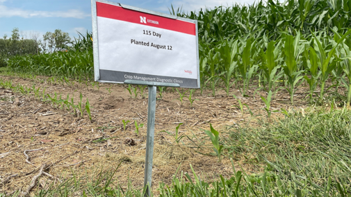 Field plot sign