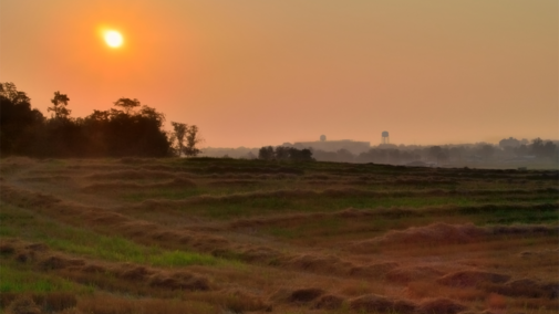 Heat wave sunrise on wheat farm