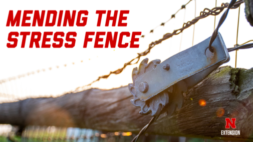 Fence and barbed wire