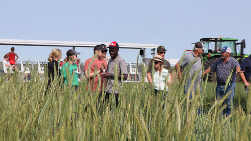 Wheat plot tour participants in field