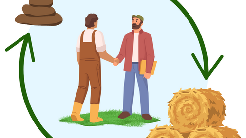 Diagram of producers trading hay and manure
