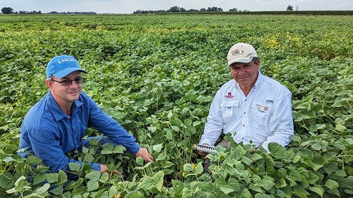 Researchers sitting in bean field