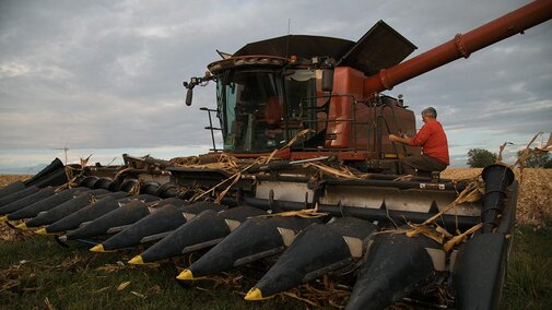 Combine in field