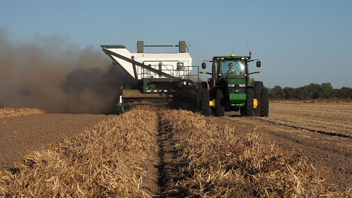 Dry bean combine harvesting field