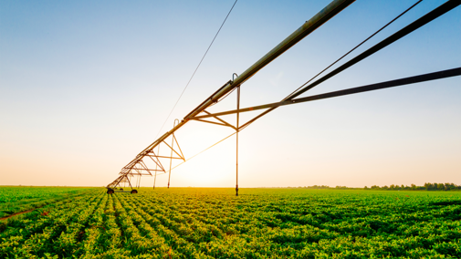 Center pivot in soybeans