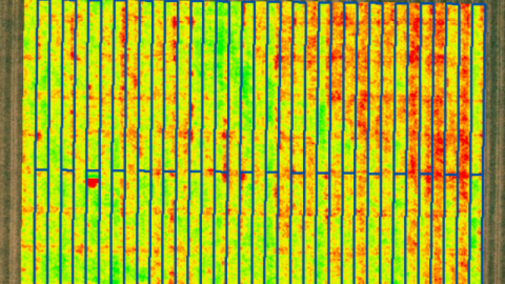 Pivot Bio test field satellite imagery