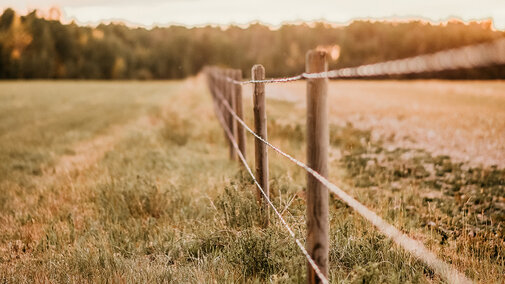 Pasture fence