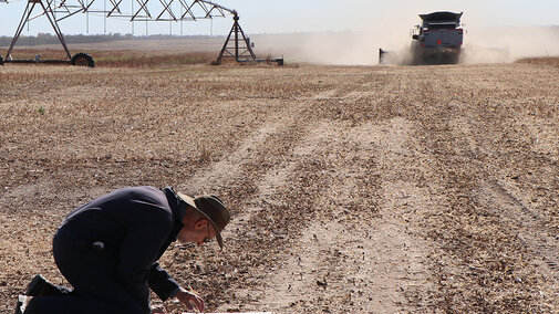 Gary Stone kneeling in field counting beans