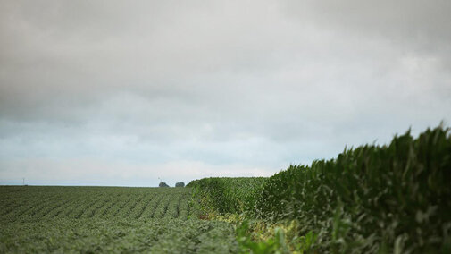 Field under cloudy sky