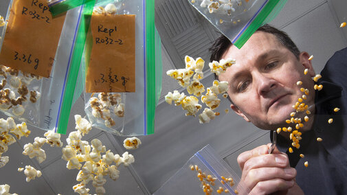 Upward shot through clear table of David Holding sorting popcorn