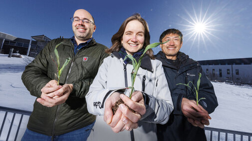 People holding sorghum plants toward camera 