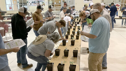 Men and women stand around tables looking at container plants