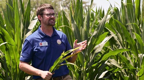 Man holding corn and speaking in field