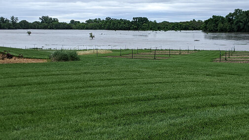 Flooded field at ENREEC