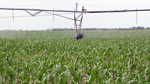 Center pivot in corn field