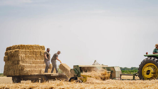 Men throw hay bales onto trailer