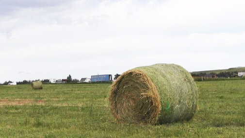 Hay bale sits in field