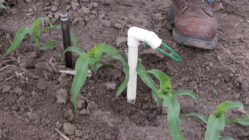 Crop sensor mounted in field