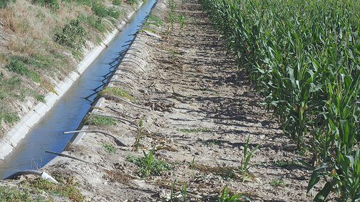 Concrete ditch filled with water and siphon tubes near field