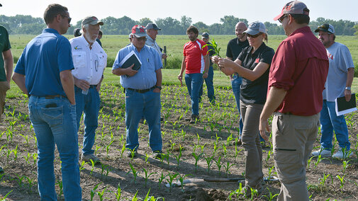 People stand in field observing woman holding corn plant