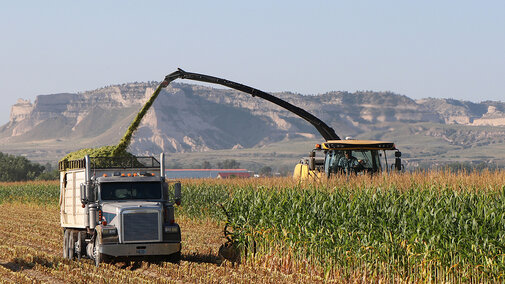 Combine harvests corn field as grain truck follows