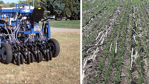 Planter with narrow seeder alongside narrow seeded wheat field