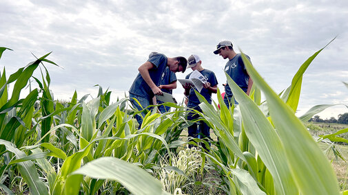 Man examines corn plants with three youths in field