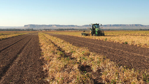 Man operates combine in dry bean field