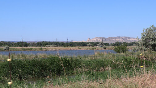 Barbwire fence near pasture