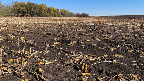 Corn residue burned in field