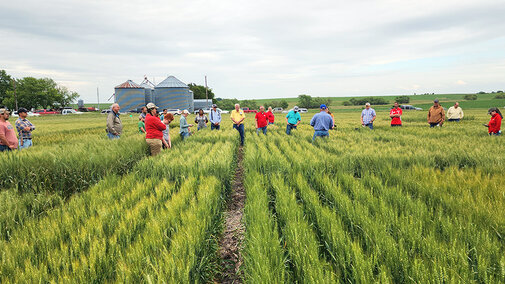 numerous people stand in wheat field listening to presentation