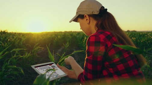 Wondering what kind of corn yields 2025 might bring? Our annual real-time corn yield forecasts will help you track yield potential and adjust decisions as the season unfolds.