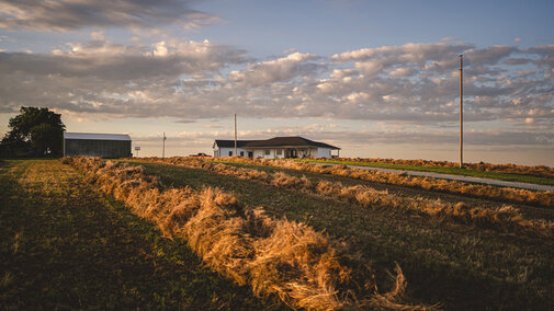Rows of freshly cut hay drying in a field at sunset, with a white farmhouse and barn in the background under a partly cloudy sky.          Ask ChatGPT