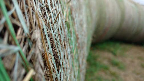 Closeup of hay bales wrapped in twine and stacked in a single line