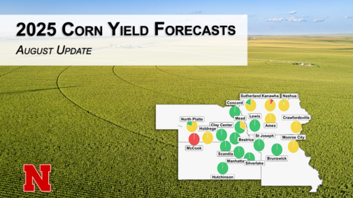 Nebraska cornfield background with title “2025 Corn Yield Forecasts: August Update” and inset map showing probability of yield deviation, with most Nebraska sites near or above average and McCook below.