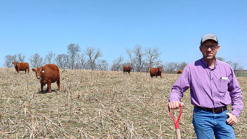 Brian Brhel stands in a harvested cornfield with cattle grazing on residue under a clear sky.